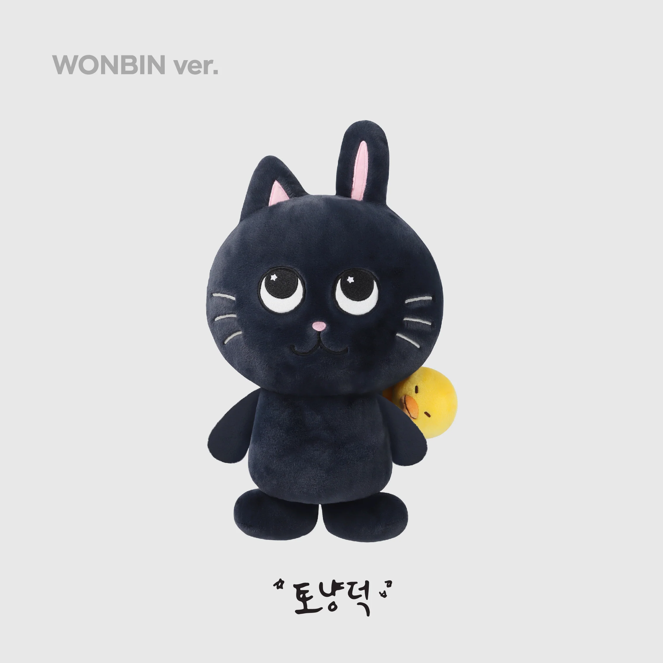 40CM DOLL - 2024 RIIZE FAN-CON 'RIIZING DAY' FINALE MD - Image 5