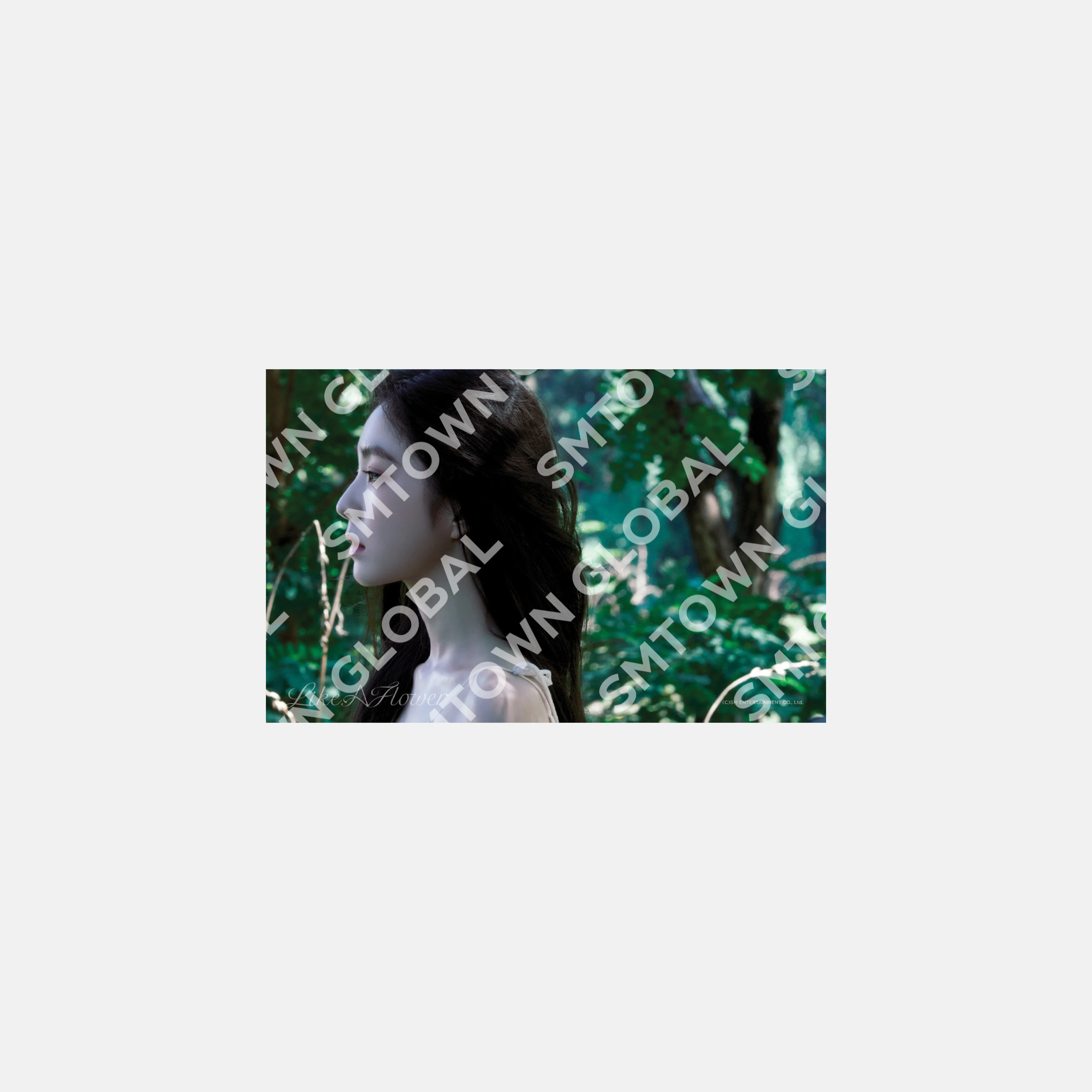 4X6 PHOTO SET - IRENE 'Like A Flower - The 1st Mini Album' MD - Image 4