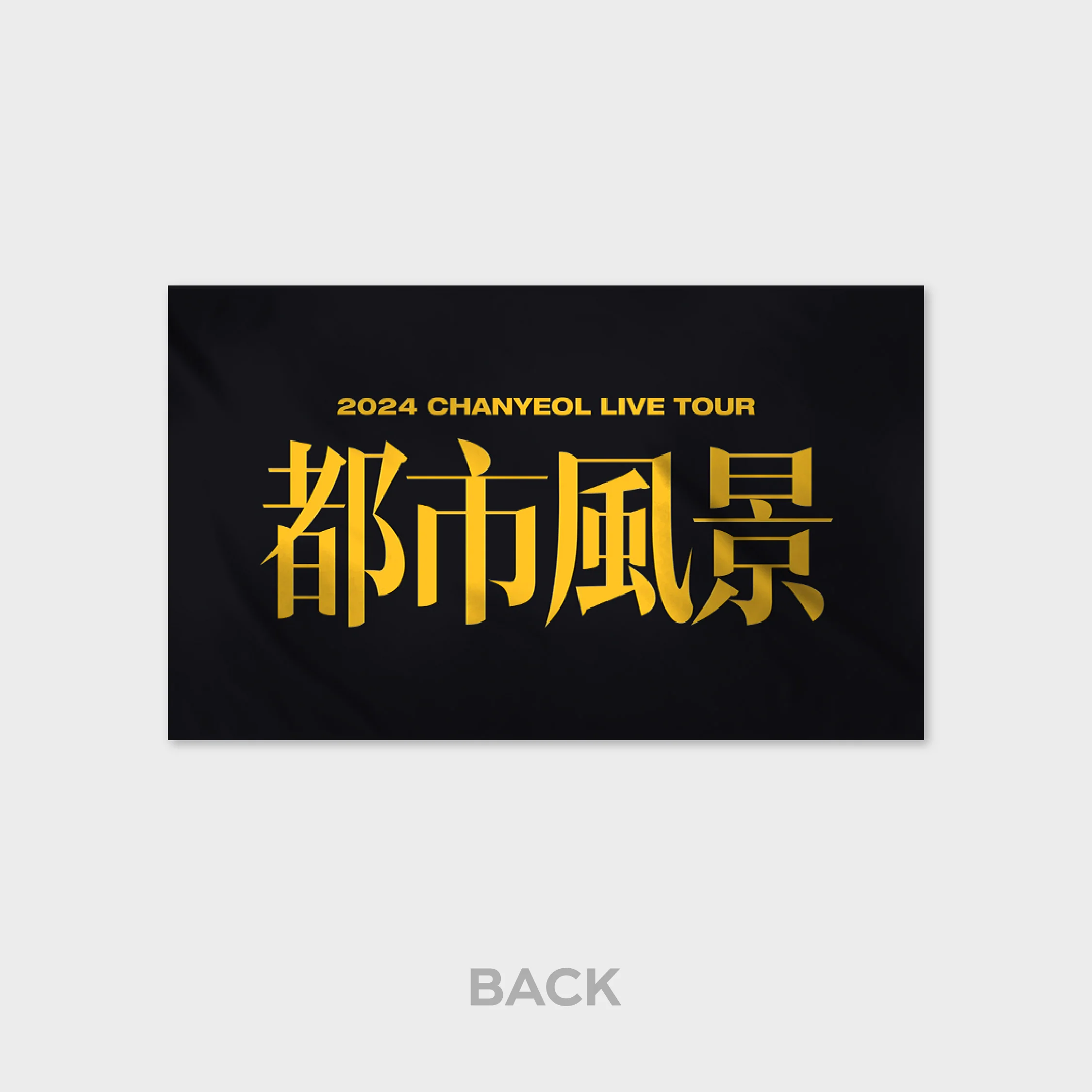SLOGAN - 2024 CHANYEOL LIVE TOUR : 都市風景 (City-scape) MD - Image 3